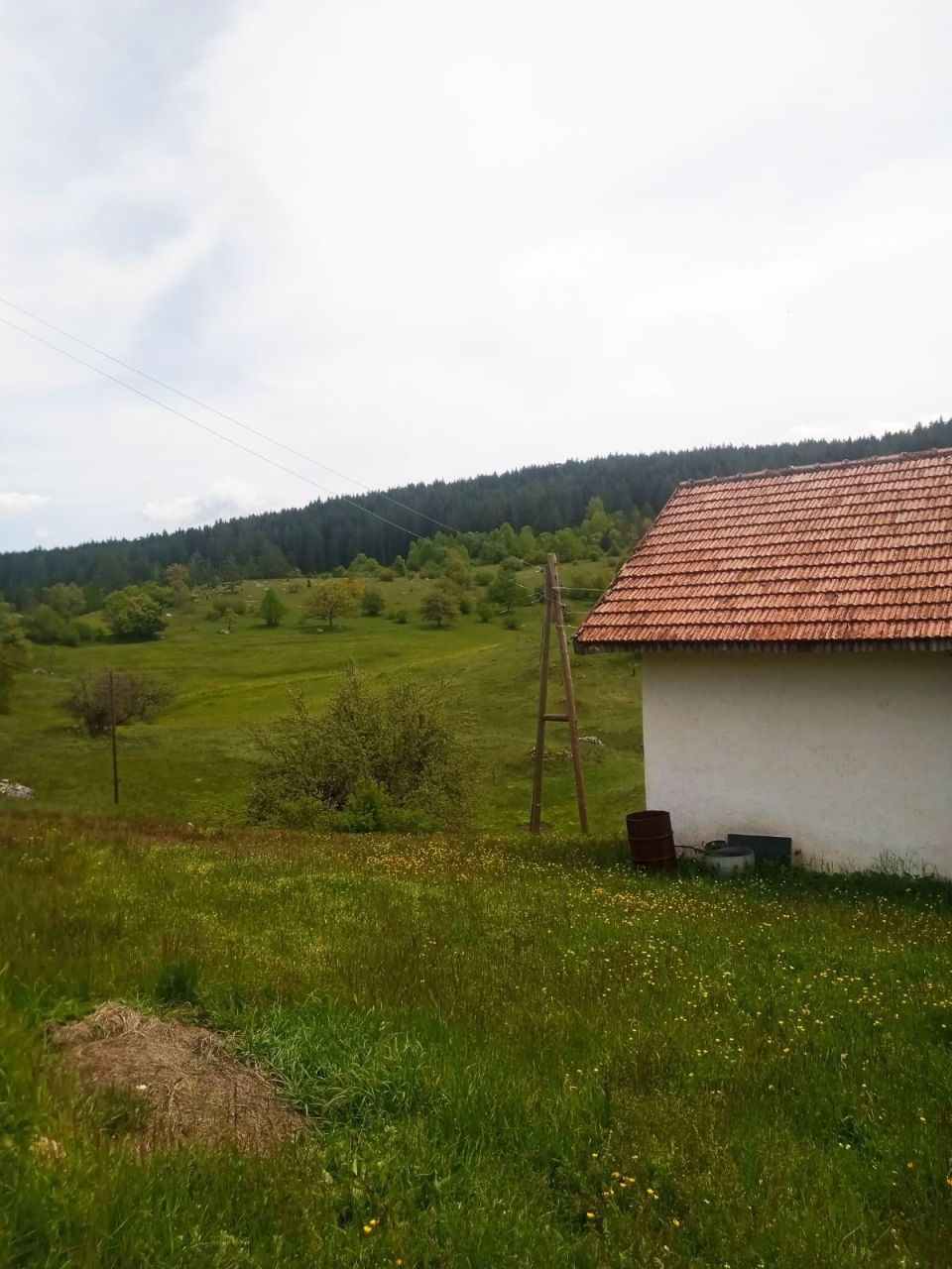 Дом в Плевле, Черногория, 76 м² - фото 3