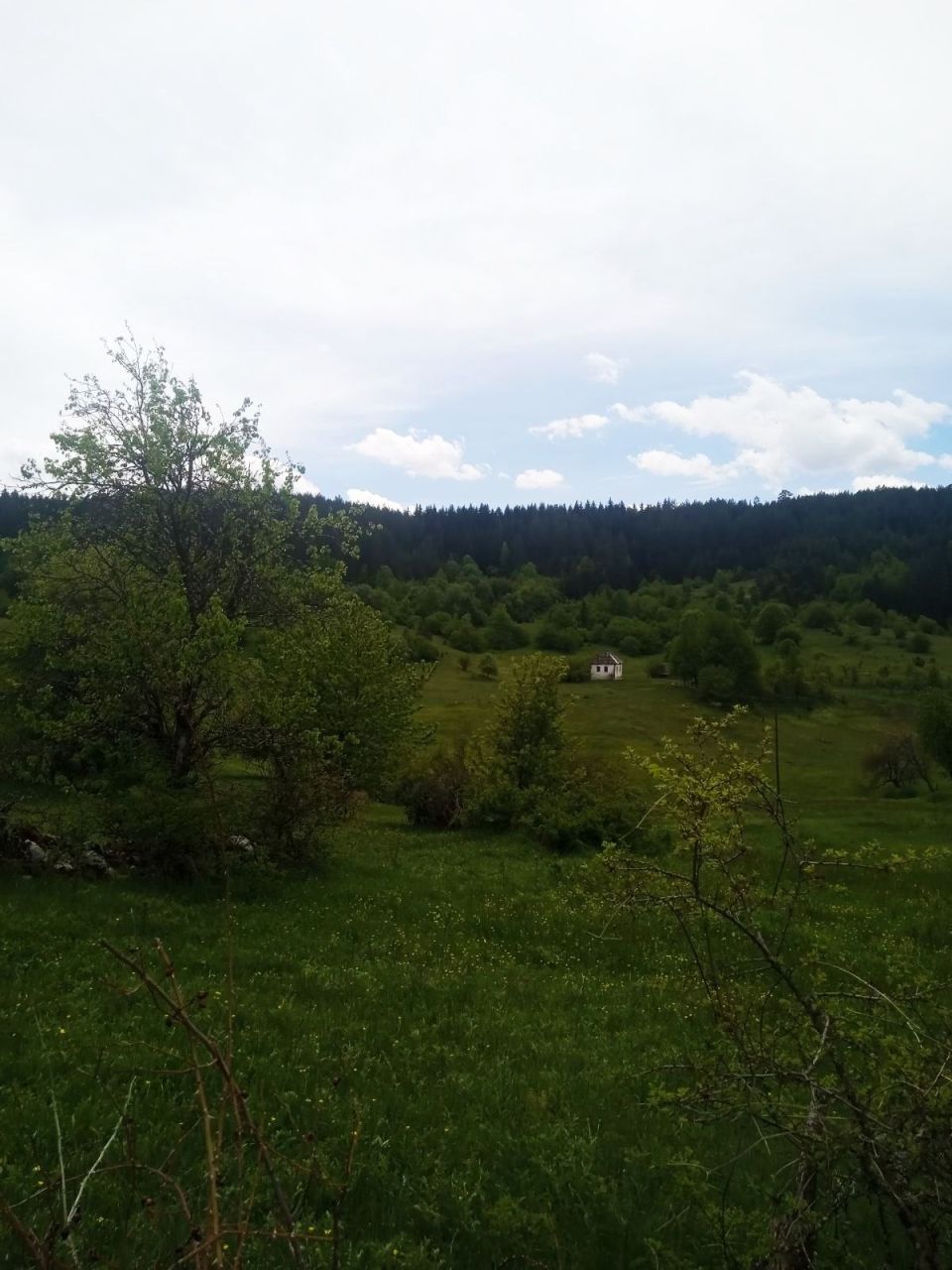 Дом в Плевле, Черногория, 76 м² - фото 8