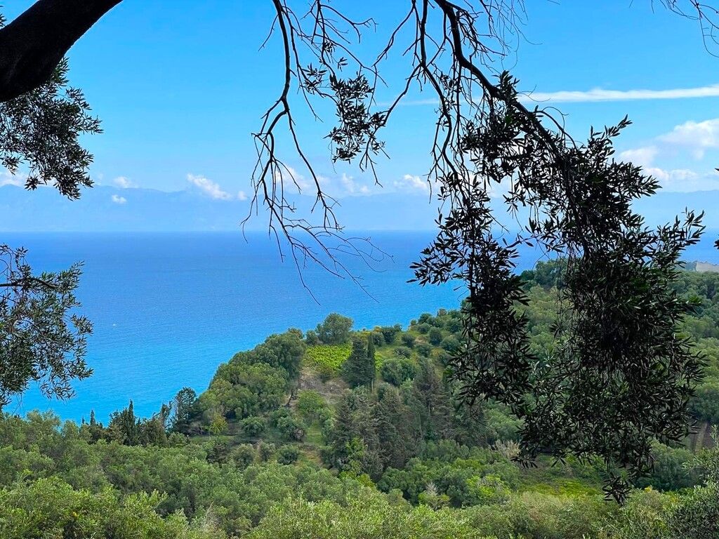 Земля на Корфу, Греция, 4 337 м² - фото 2