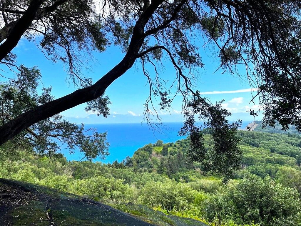 Земля на Корфу, Греция, 4 337 м² - фото 3