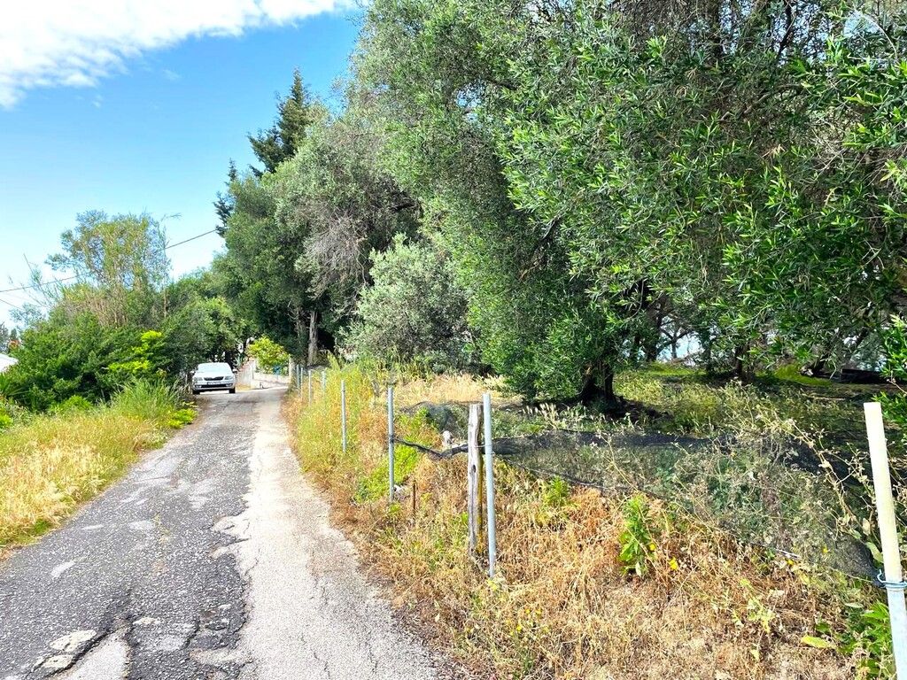 Земля на Корфу, Греция, 4 337 м² - фото 6