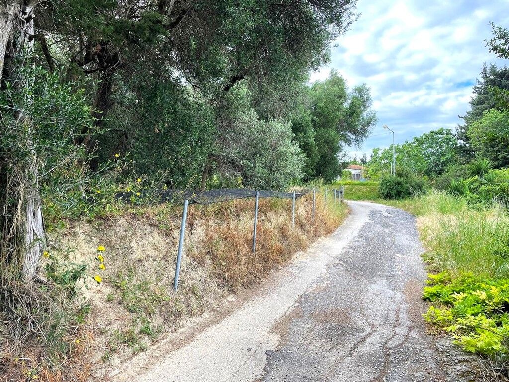 Земля на Корфу, Греция, 4 337 м² - фото 7