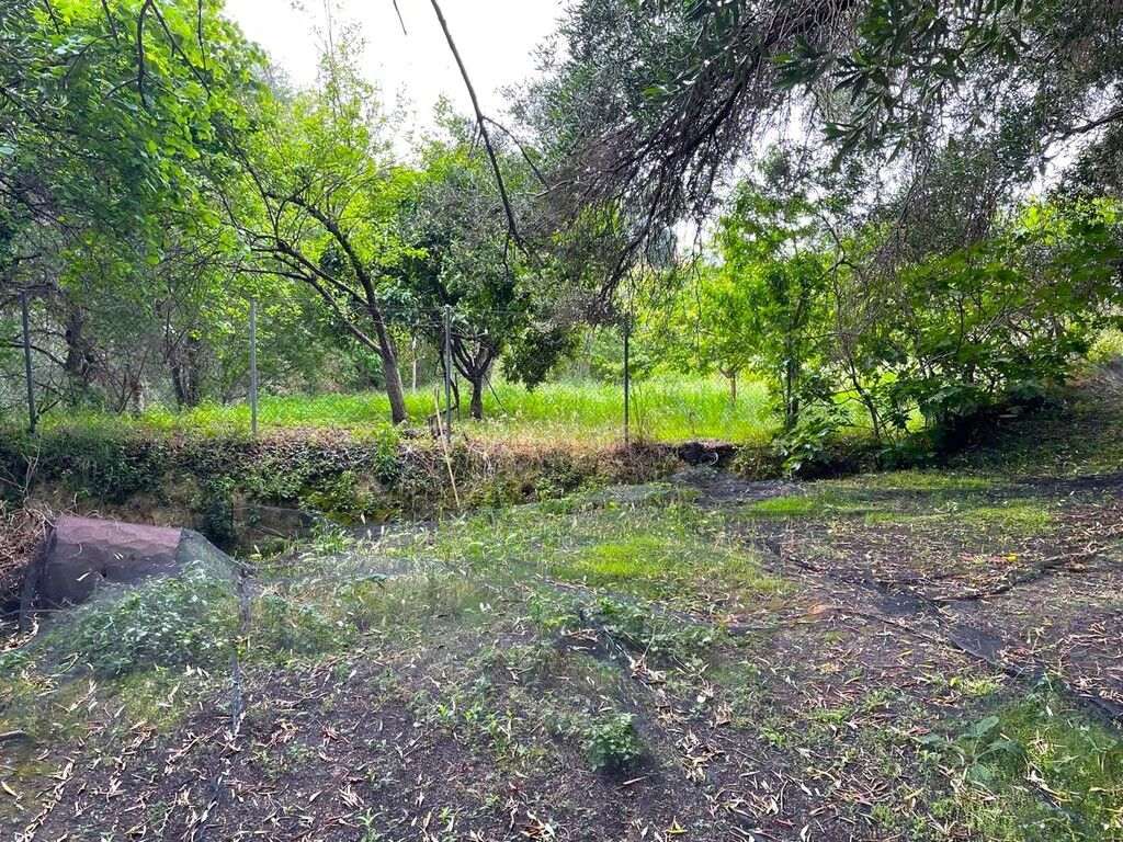 Земля на Корфу, Греция, 940 м² - фото 10