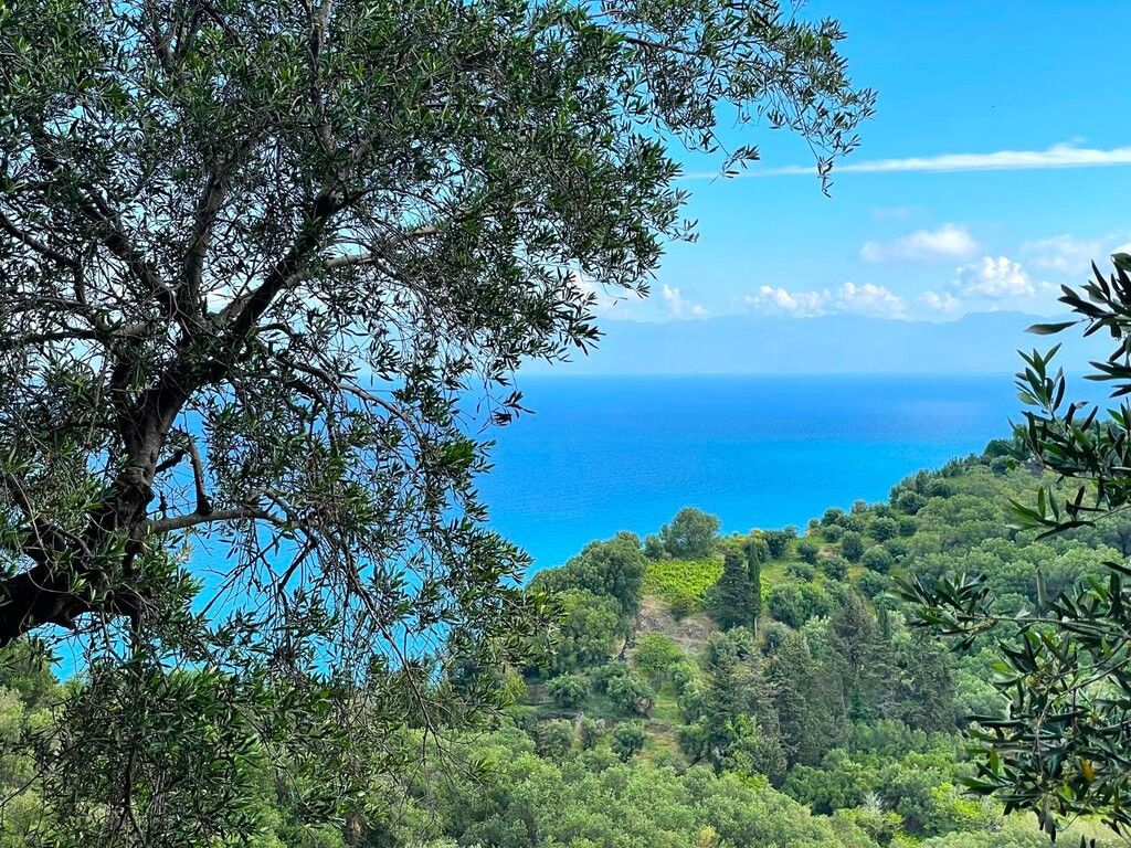 Земля на Корфу, Греция, 4 337 м² - фото 12