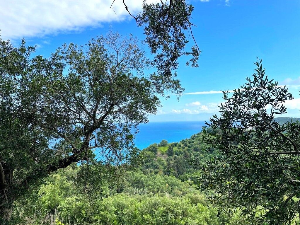 Земля на Корфу, Греция, 4 337 м² - фото 13