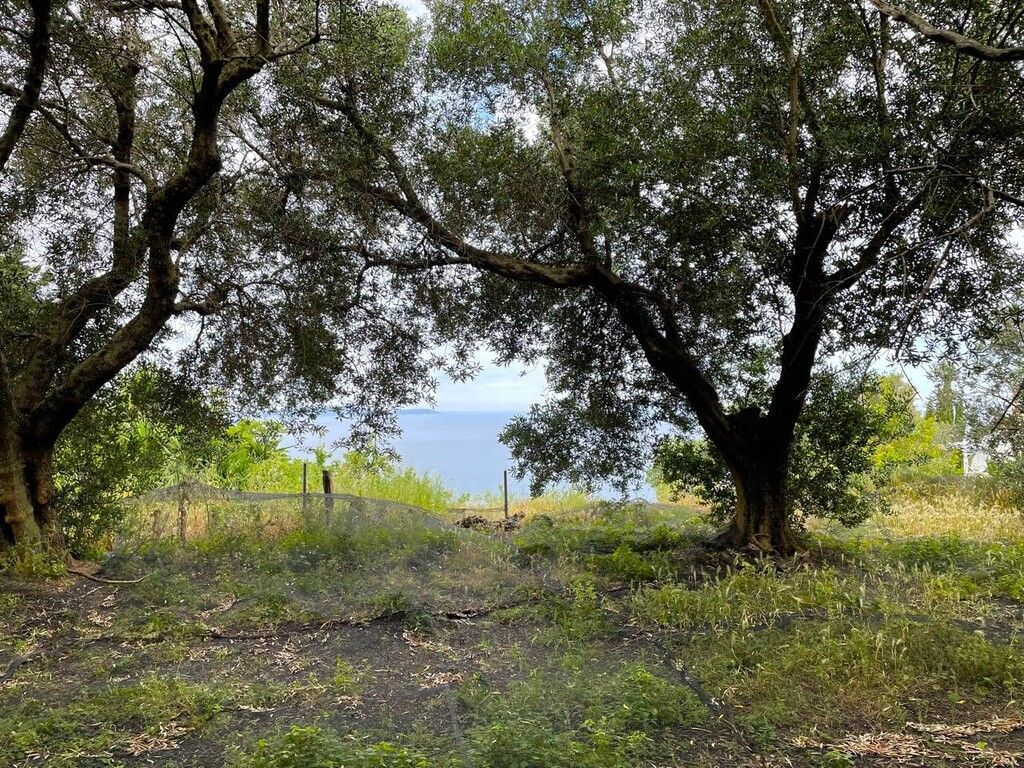 Земля на Корфу, Греция, 4 337 м² - фото 15