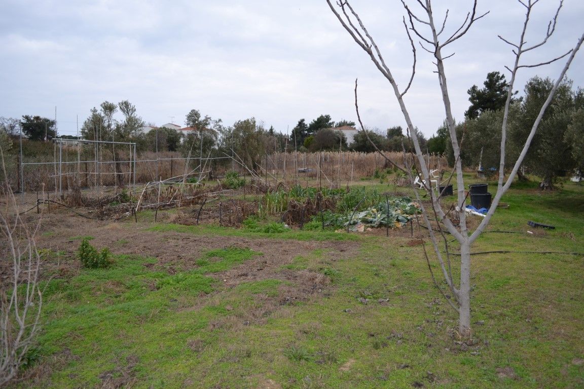 Земля в Ситонии, Греция, 1 000 м² - фото 2