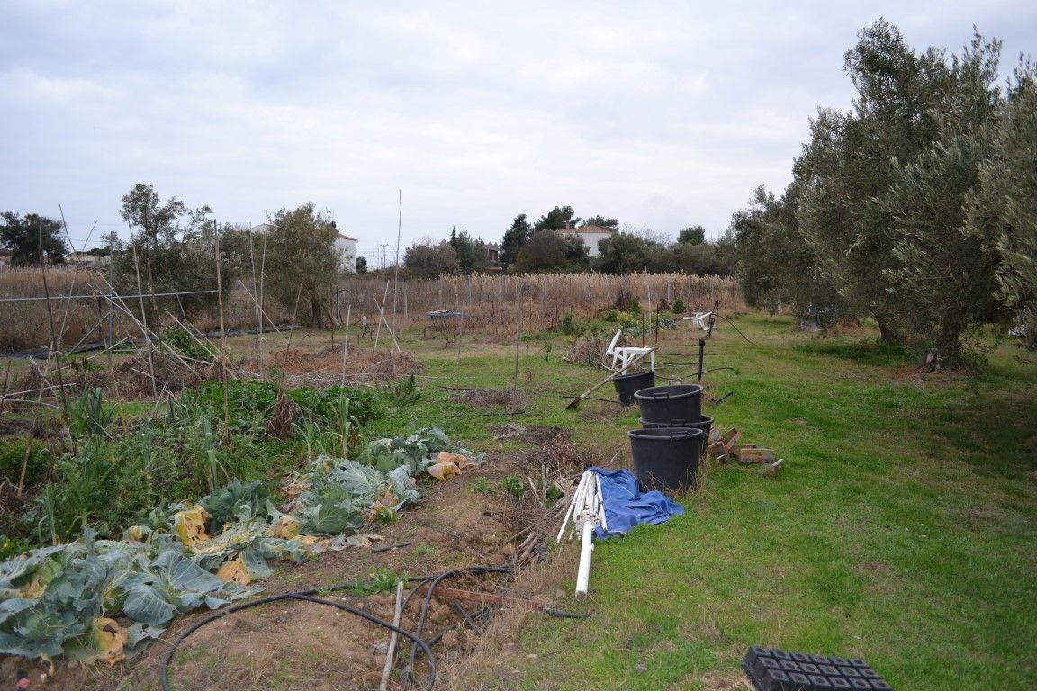 Земля в Ситонии, Греция, 1 000 м² - фото 4