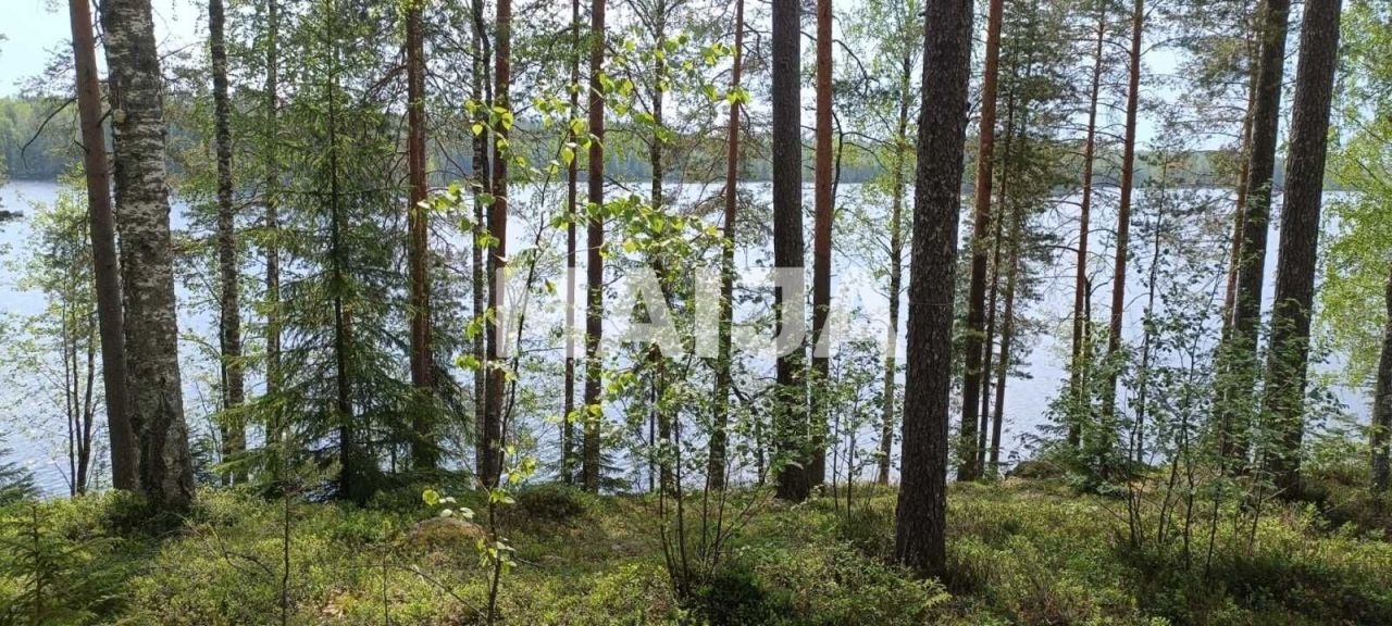 Земля в Савонлинне, Финляндия, 7 850 м² - фото 1