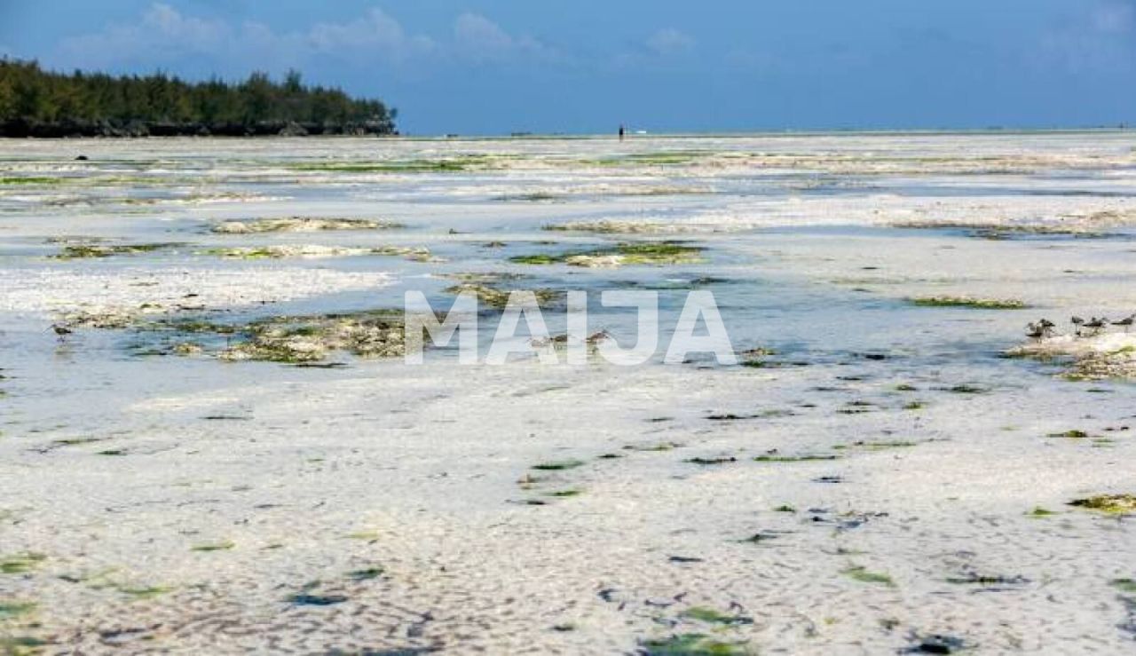 Земля Pongwe, Танзания, 5 000 м² - фото 2