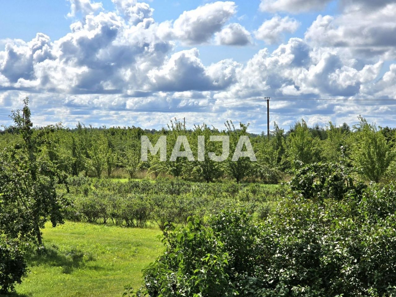 Дом Талси, Латвия, 210 м² - фото 4