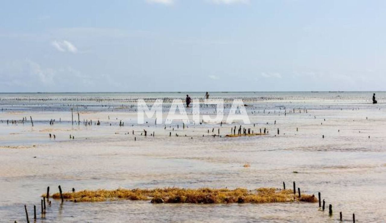 Земля Pongwe, Танзания, 5 000 м² - фото 7