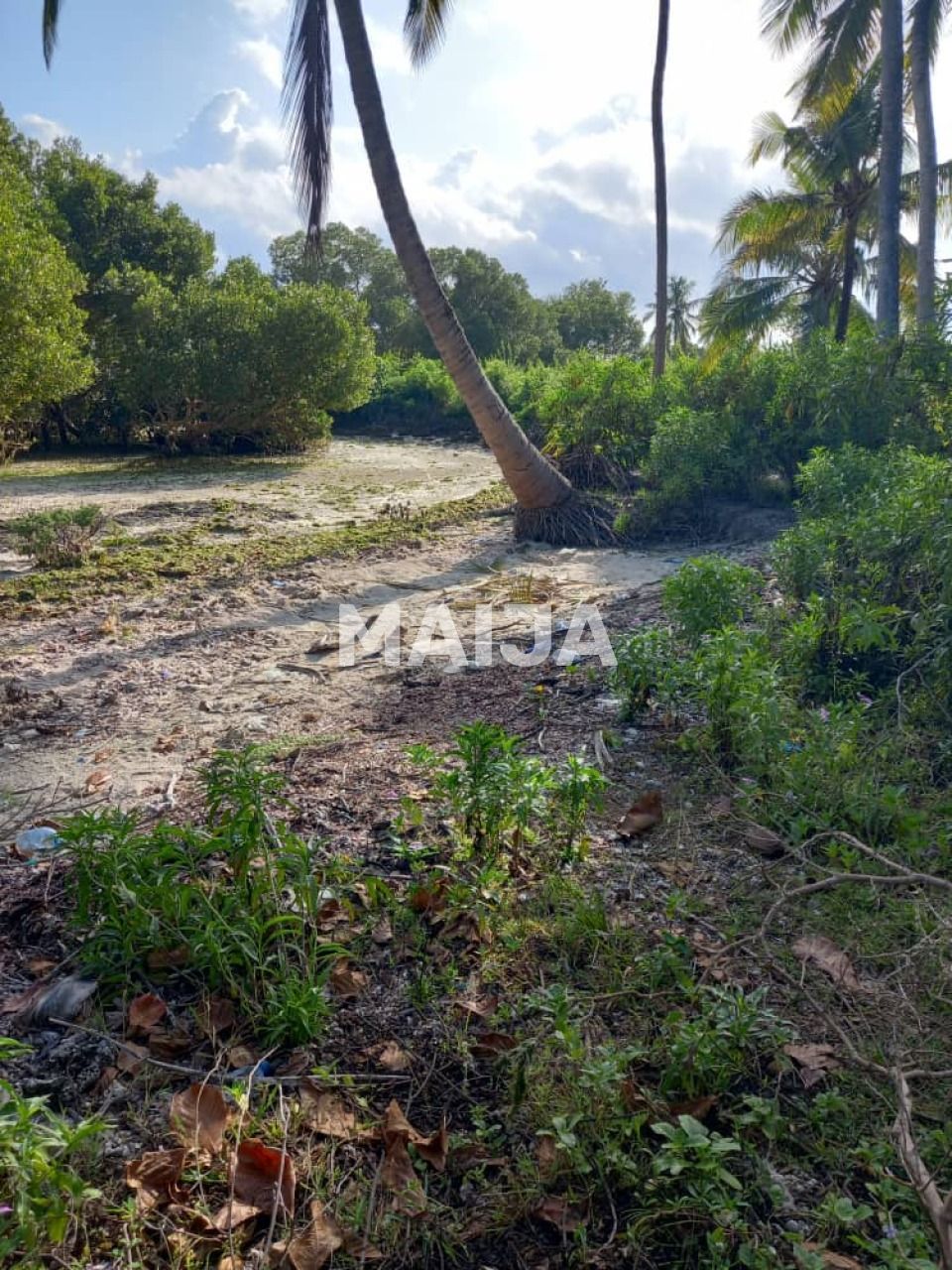 Земля Pongwe, Танзания, 5 000 м² - фото 9