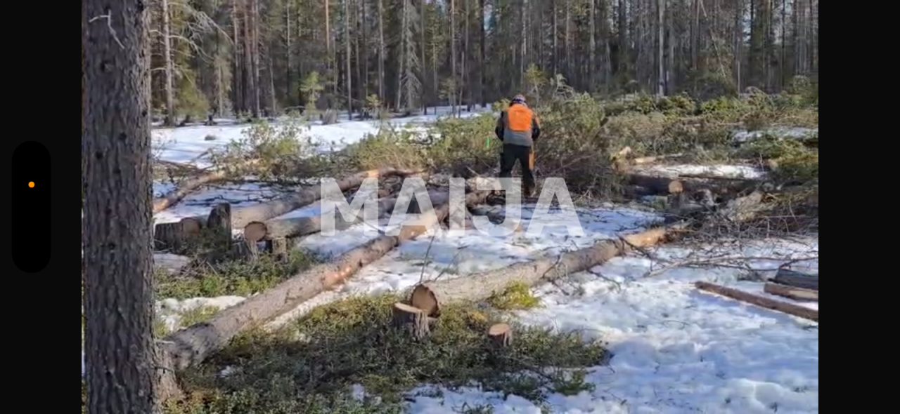 Квартира в Колари, Финляндия, 50.5 м² - фото 10