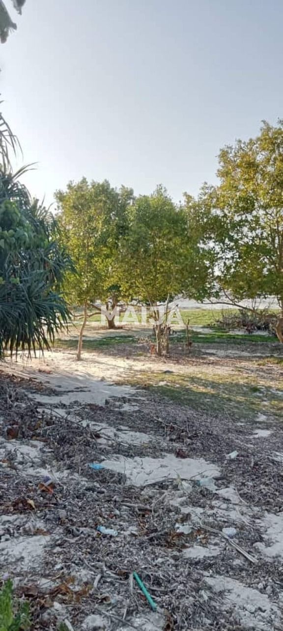 Земля Pongwe, Танзания, 5 000 м² - фото 11