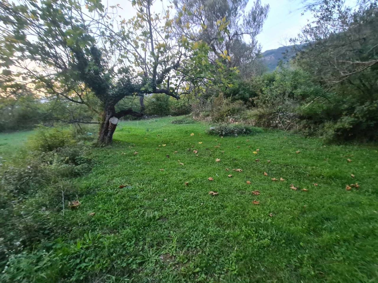 Земля в Которе, Черногория, 2 171 м² - фото 5