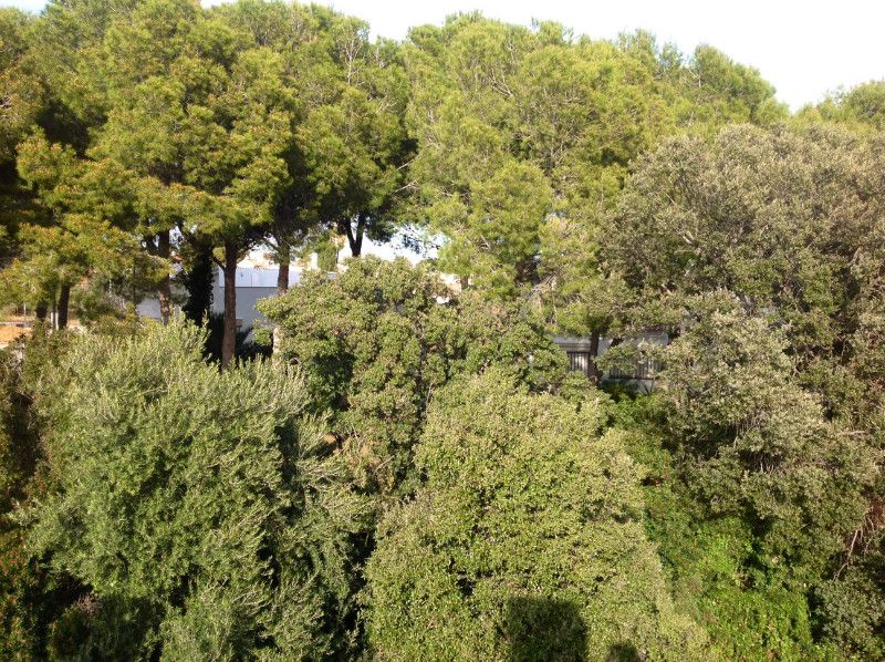 Таунхаус в Камбрильсе, Испания, 250 м² - фото 2