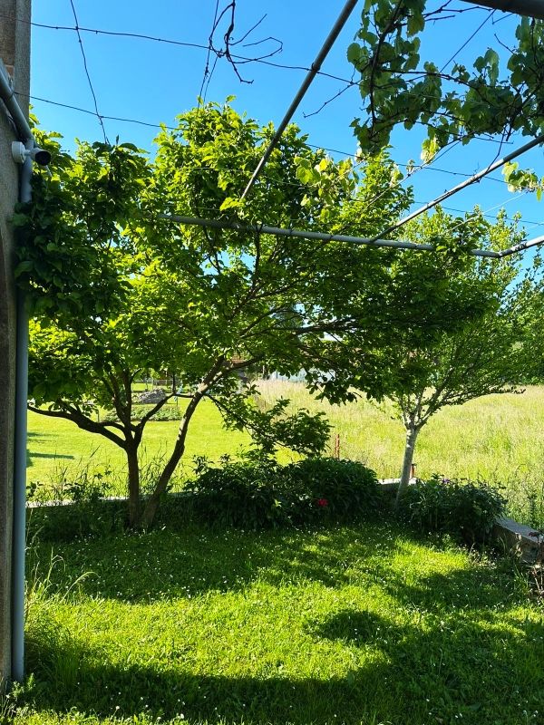 Дом в Никшиче, Черногория, 166 м² - фото 13