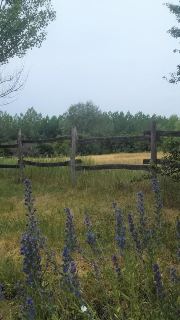 Ферма Jánossomorja, Венгрия, 295 770 м² - фото 9