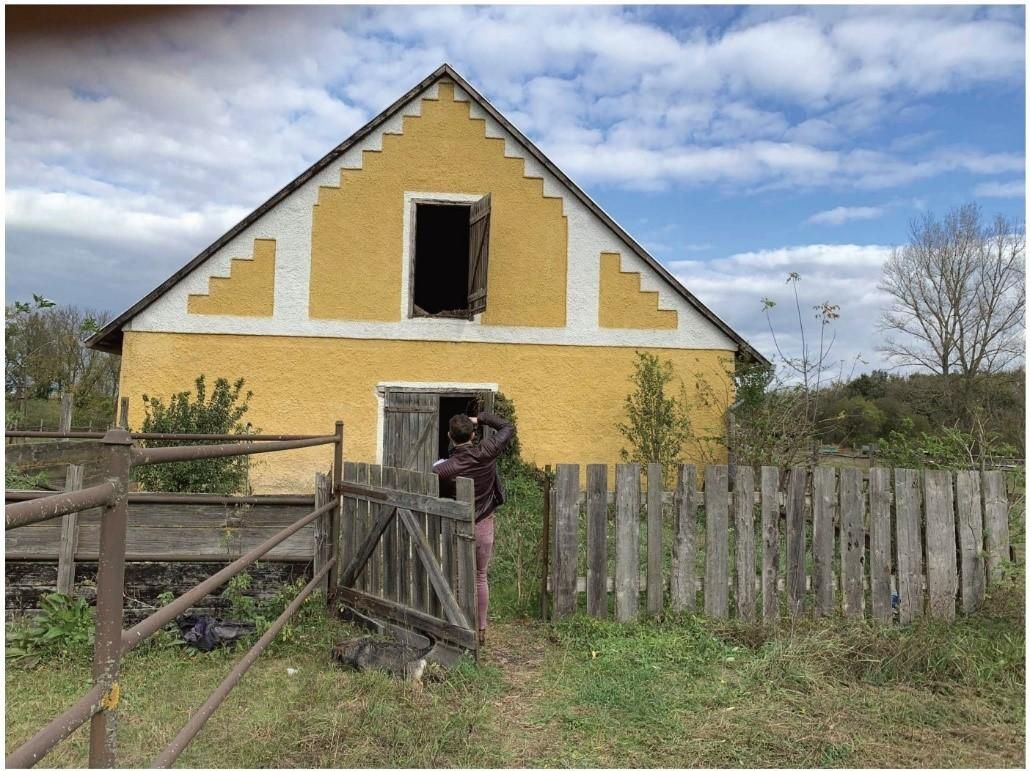 Ферма Jánossomorja, Венгрия, 295 770 м² - фото 19