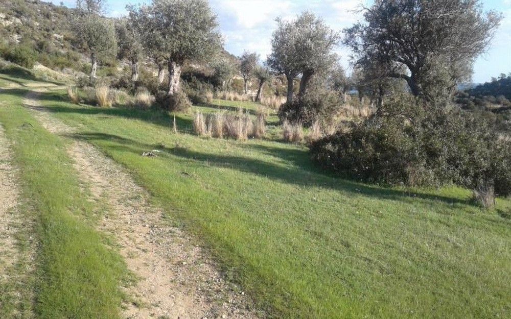 Земля в Лимасоле, Кипр, 18 785 м² - фото 2