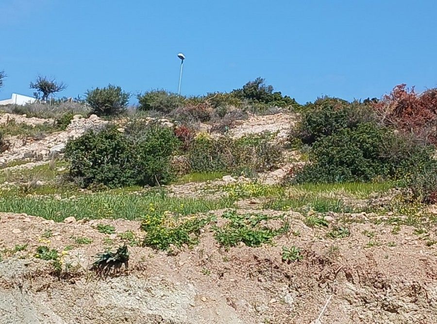 Земля в Лимасоле, Кипр, 1 450 м² - фото 2