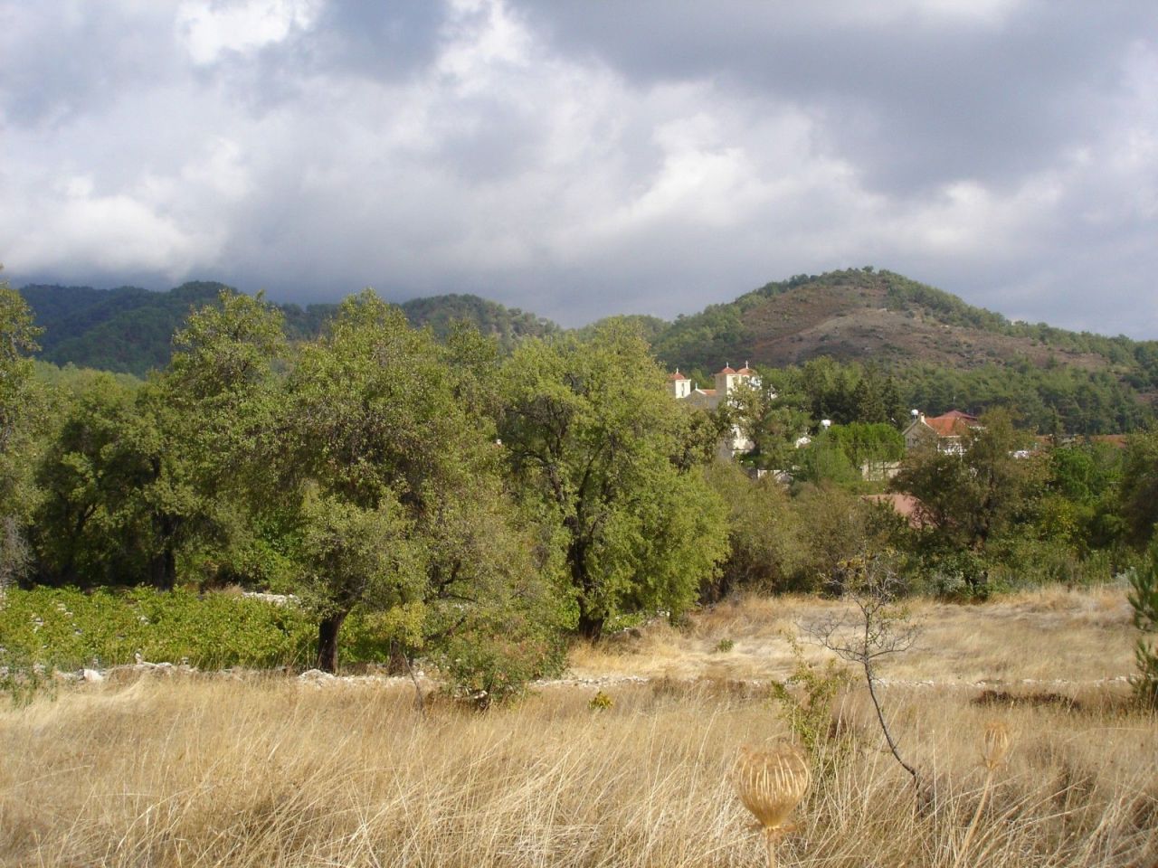 Земля в Лимасоле, Кипр, 6 523 м² - фото 2