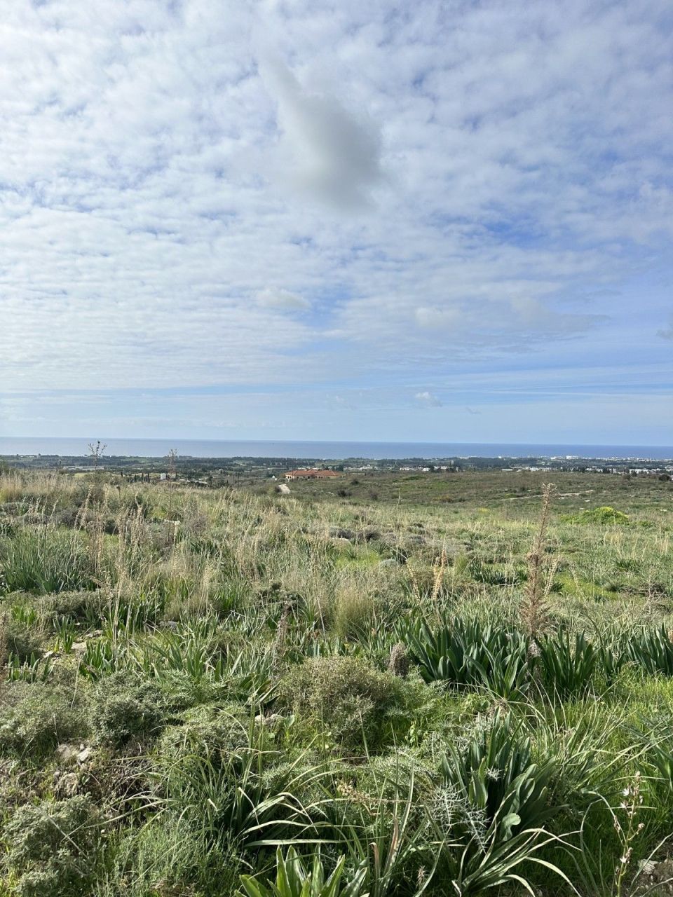 Земля в Пафосе, Кипр, 26 080 м² - фото 2