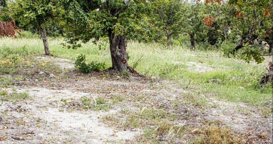 Бунгало в Пафосе, Кипр, 92 м² - фото 2