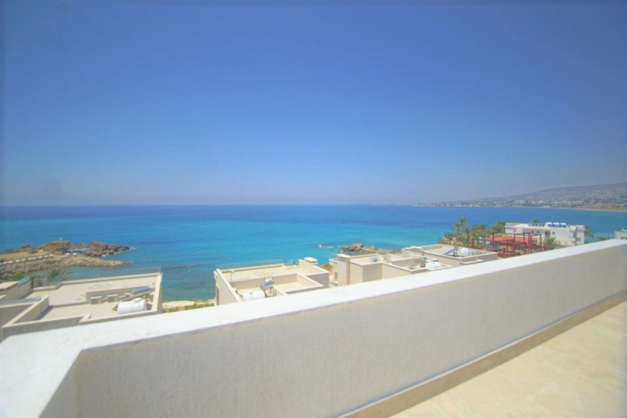 Коммерческая недвижимость в Пафосе, Кипр - фото 2