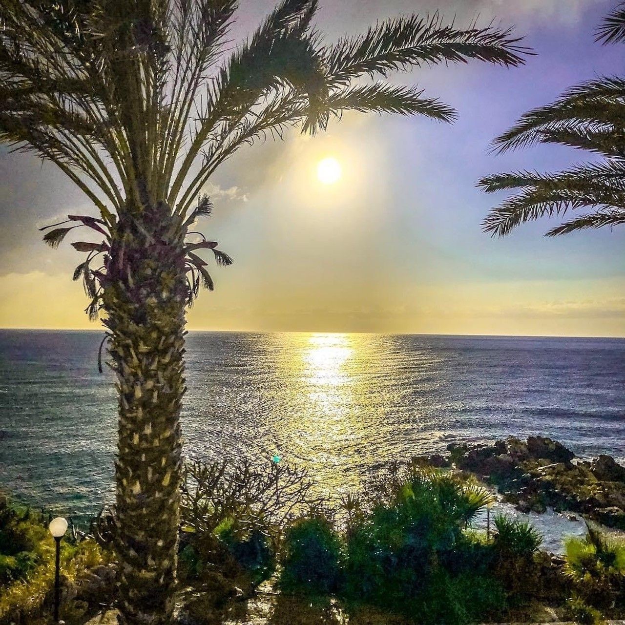 Отель, гостиница в Пафосе, Кипр, 2 000 м² - фото 2