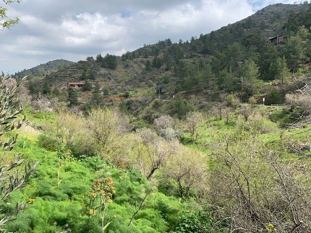 Вилла в Никосии, Кипр - фото 2