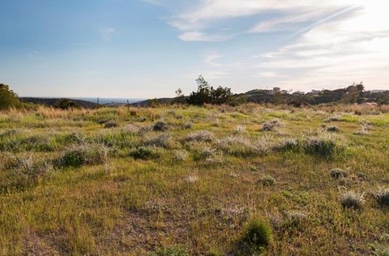 Земля в Лимасоле, Кипр, 1 833 м² - фото 2