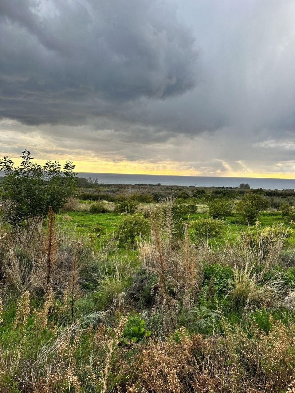 Земля в Пафосе, Кипр, 4 229 м² - фото 2