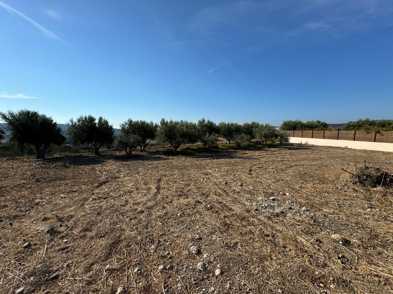 Земля в Лимасоле, Кипр, 630 м² - фото 2