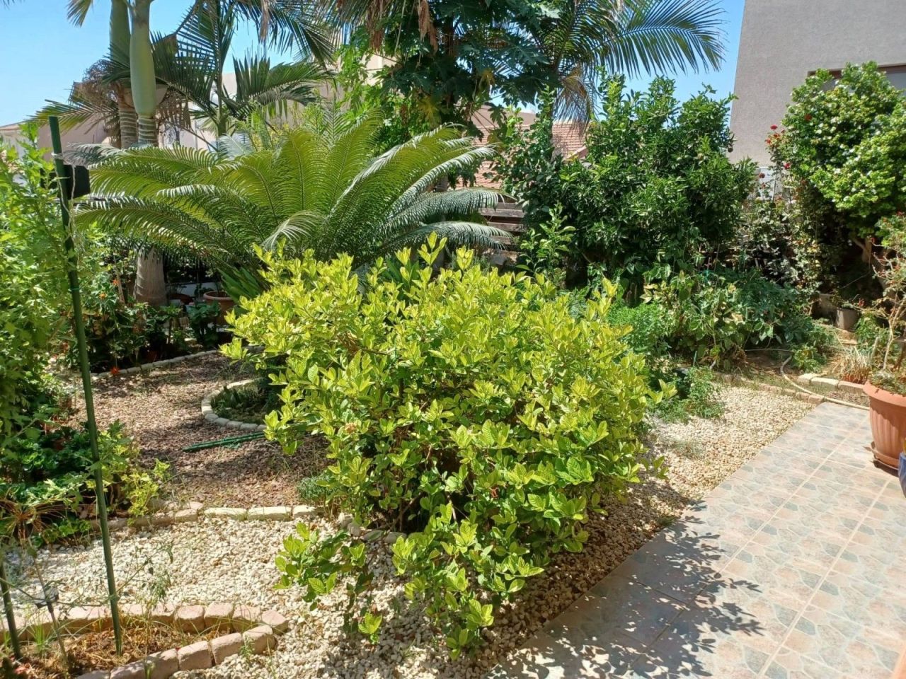 Вилла в Лимасоле, Кипр, 280 м² - фото 2