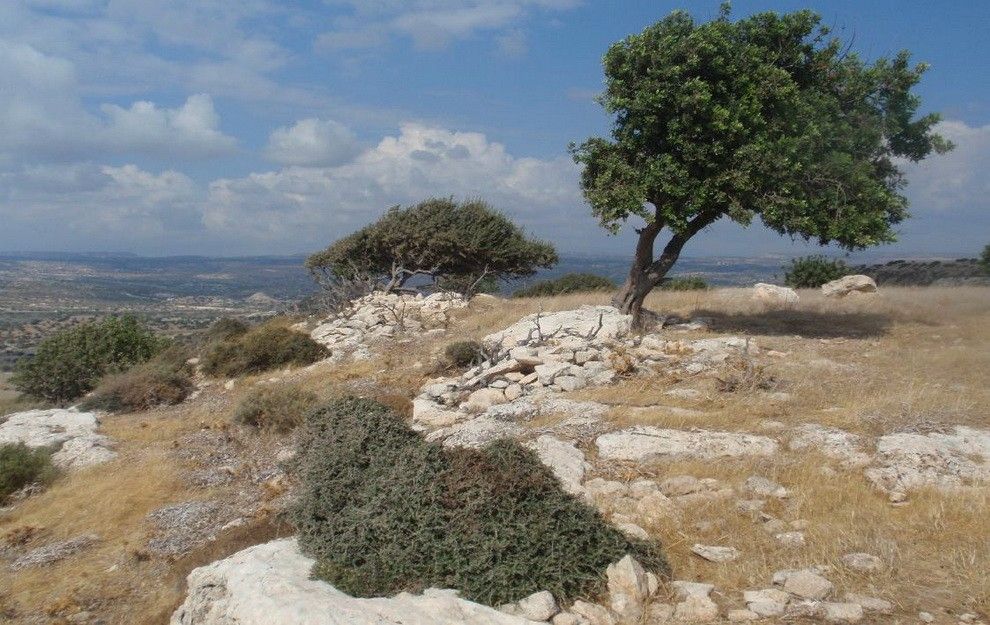 Земля в Лимасоле, Кипр, 12 041 м² - фото 2