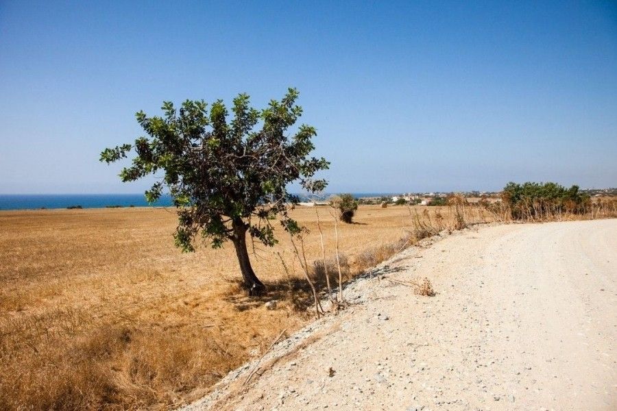 Земля в Ларнаке, Кипр, 20 076 м² - фото 3