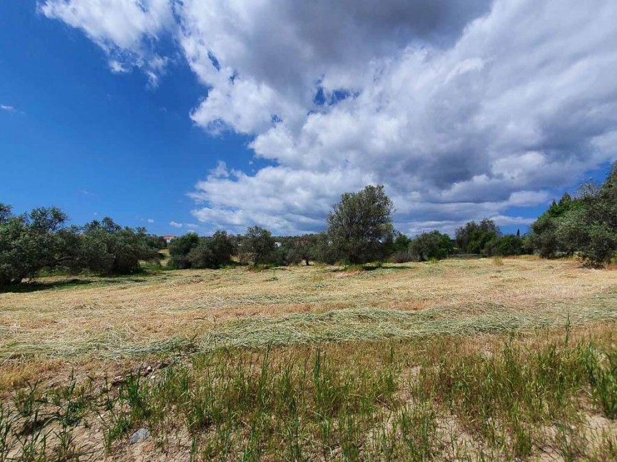 Земля в Ларнаке, Кипр, 4 348 м² - фото 3