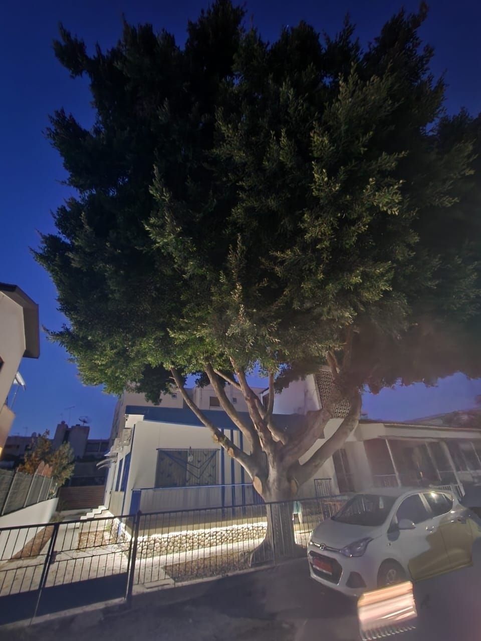 Вилла в Ларнаке, Кипр, 170 м² - фото 3