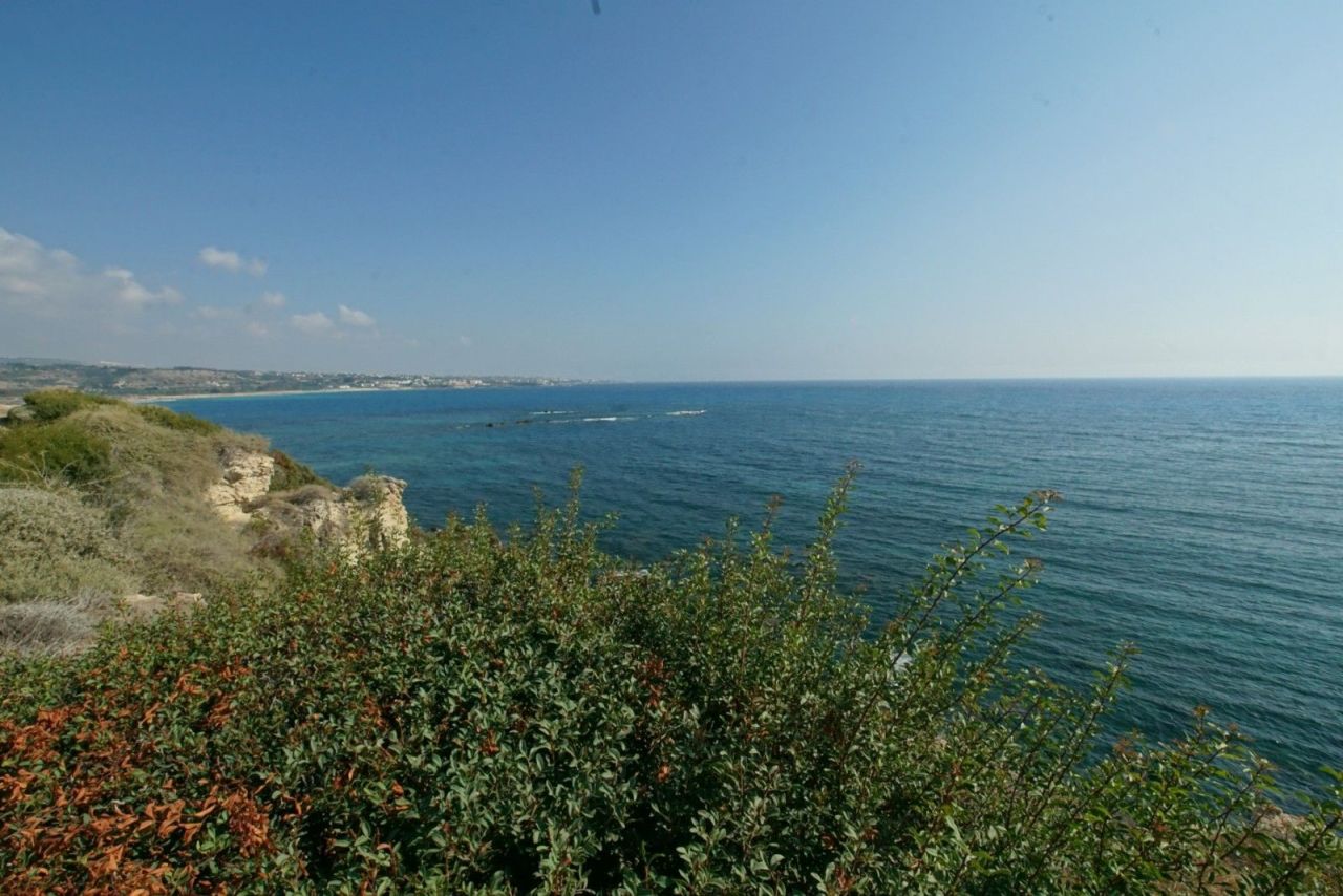 Земля в Пафосе, Кипр, 4 289 м² - фото 3