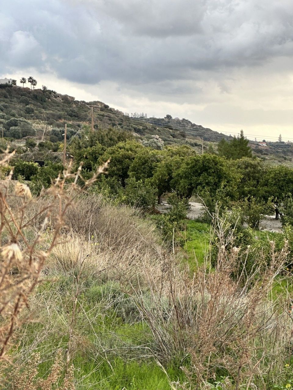 Земля в Пафосе, Кипр, 4 229 м² - фото 3