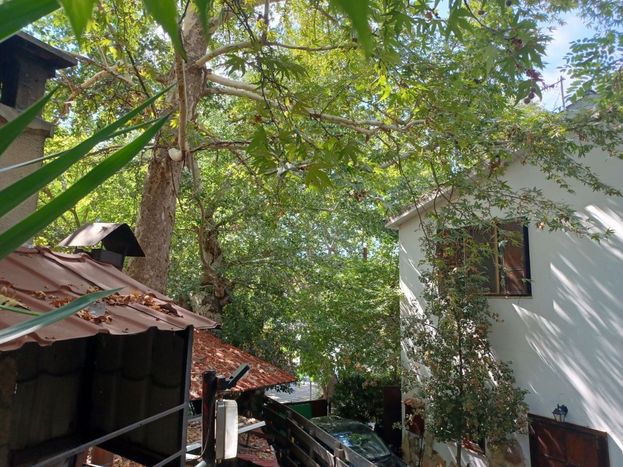 Кафе, ресторан в Лимасоле, Кипр, 380 м² - фото 3