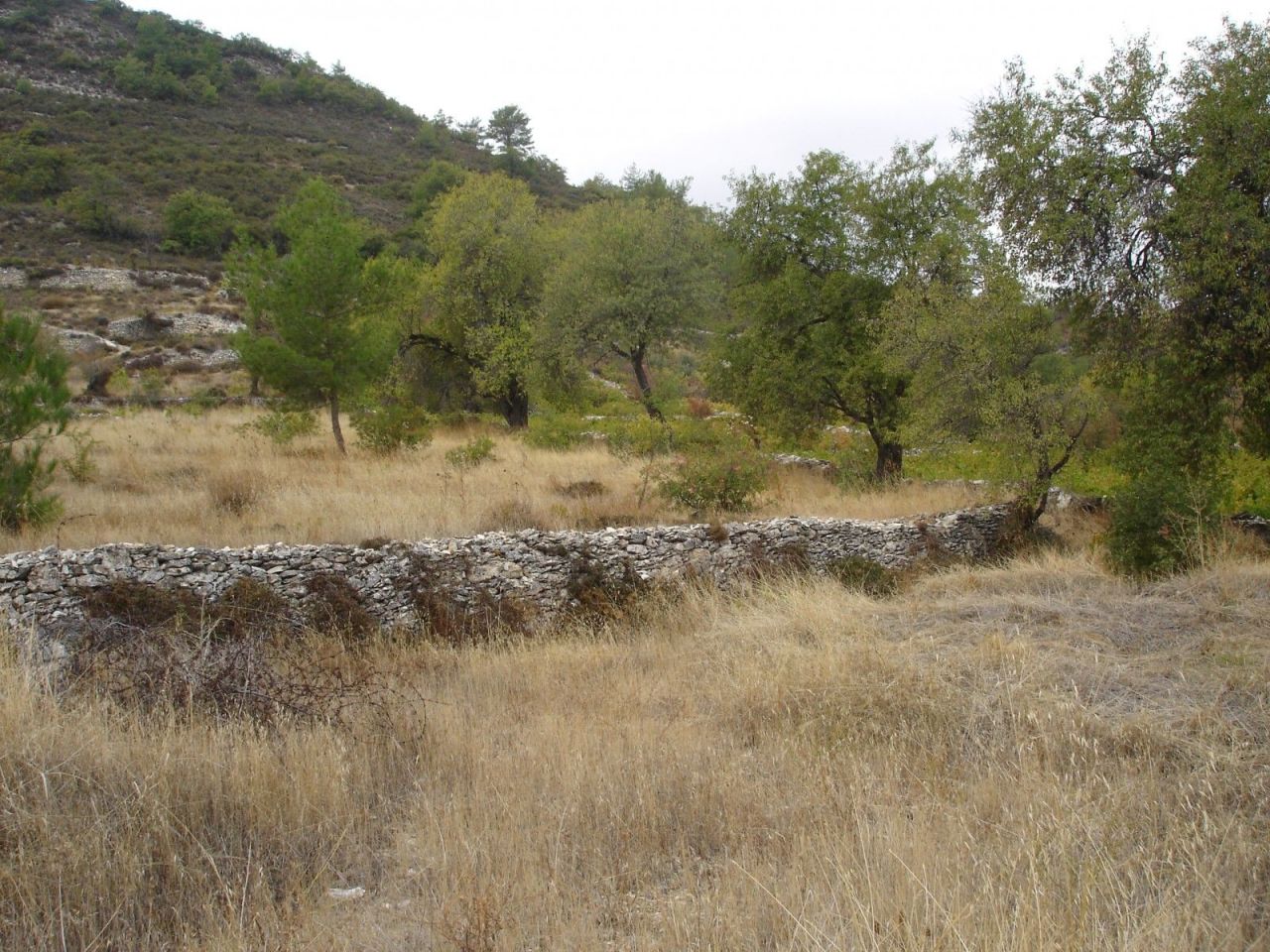 Земля в Лимасоле, Кипр, 6 523 м² - фото 3