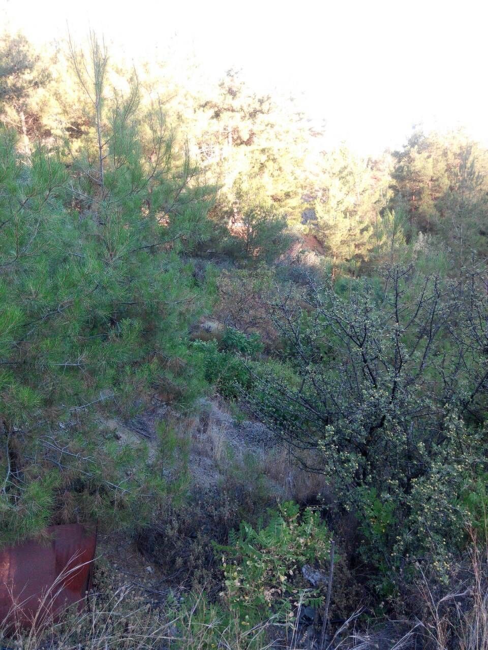 Земля в Лимасоле, Кипр, 1 350 м² - фото 3