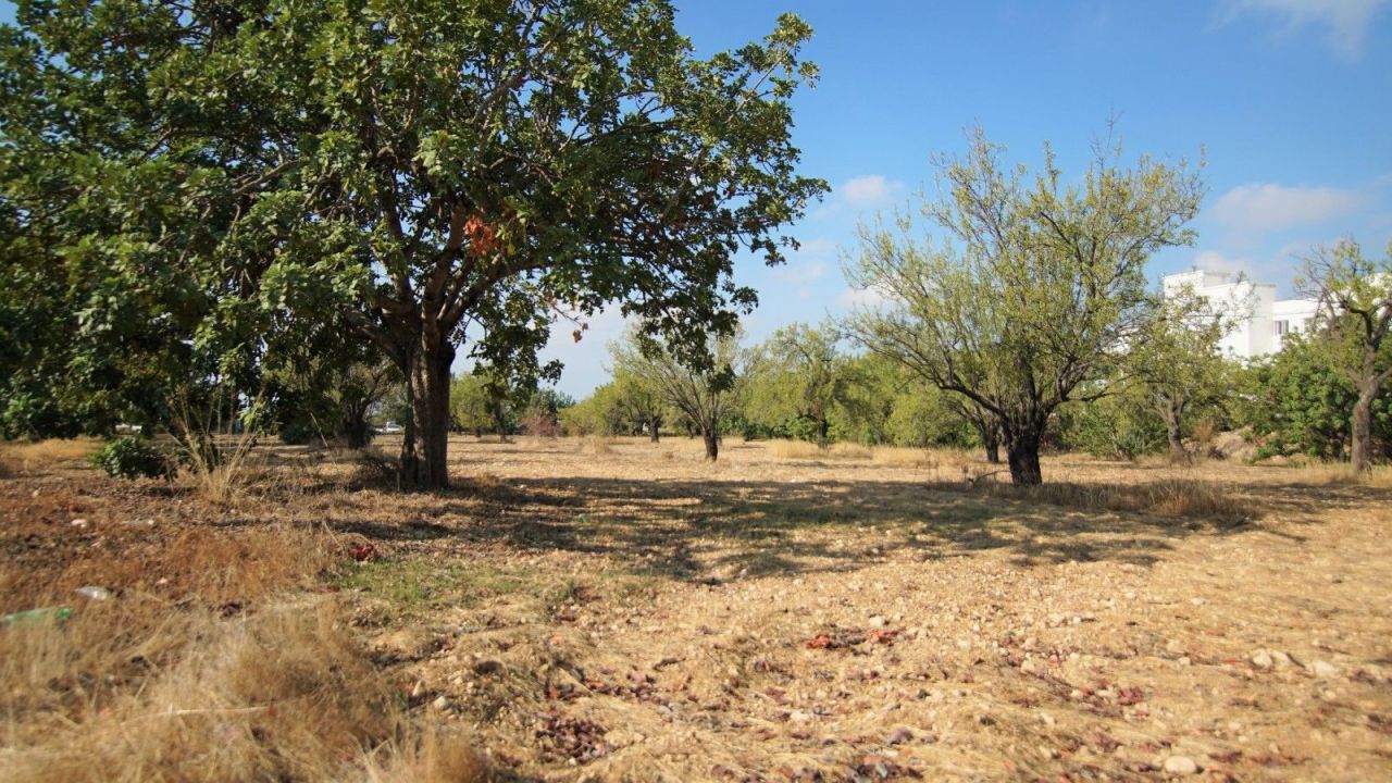 Земля в Пафосе, Кипр, 8 027 м² - фото 3