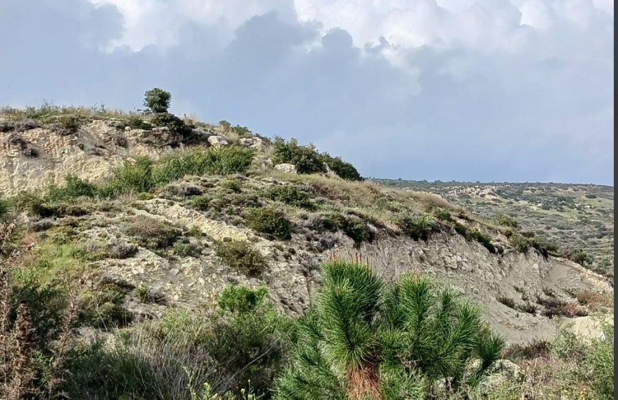 Земля в Лимасоле, Кипр, 2 376 м² - фото 3