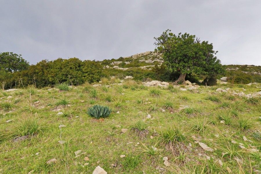 Земля в Пафосе, Кипр, 3 763 м² - фото 4