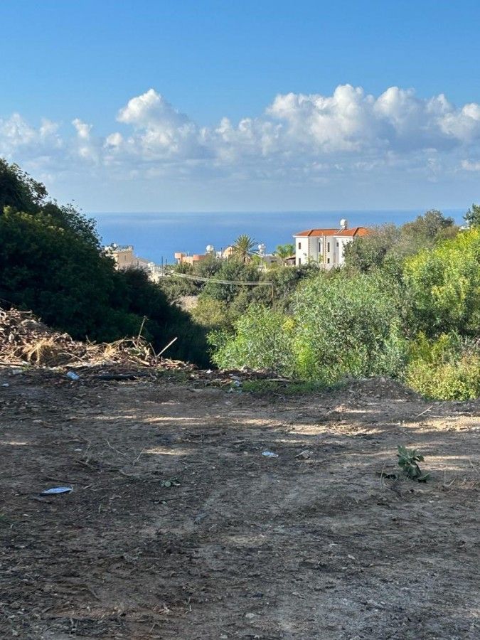 Земля в Пафосе, Кипр, 1 338 м² - фото 4