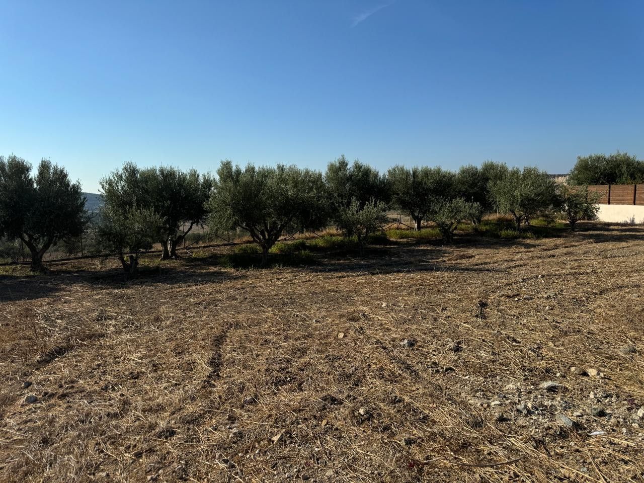 Земля в Лимасоле, Кипр, 630 м² - фото 4